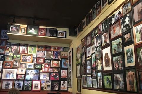 FETCH BAR & GRILL